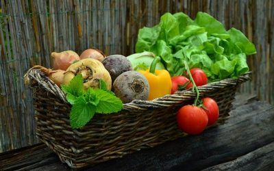 Consejos específicos de nutrición para el entrenamiento con EMS